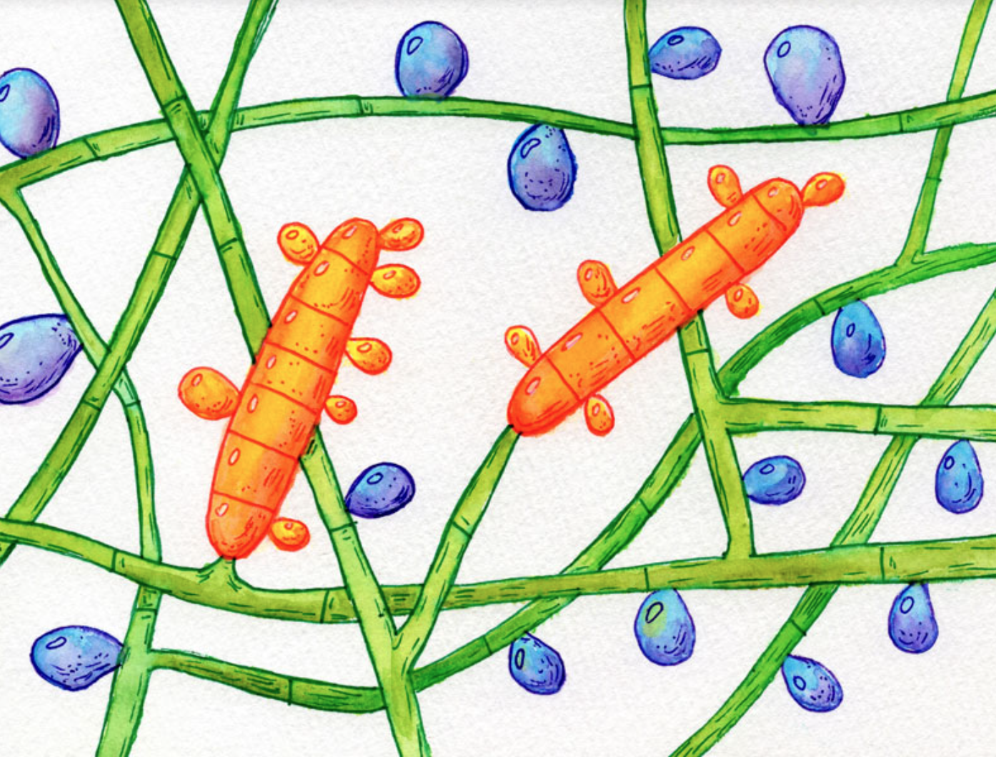 an illustration showing colorful microbes